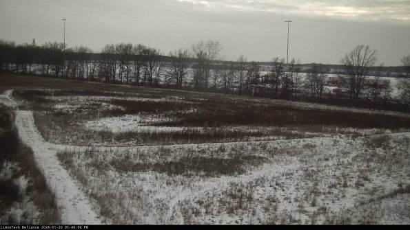 Cell 2_24-01-20_17-46-06-99