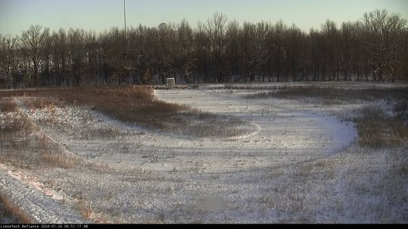 Cell 4_24-01-20_08-51-17-93