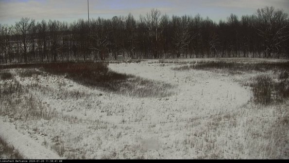 Cell 4_24-01-20_11-38-41-93