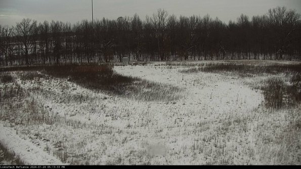 Cell 4_24-01-20_17-13-33-93