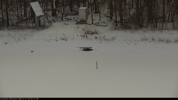 Basin Inflow_24-01-21_08-52-14-10