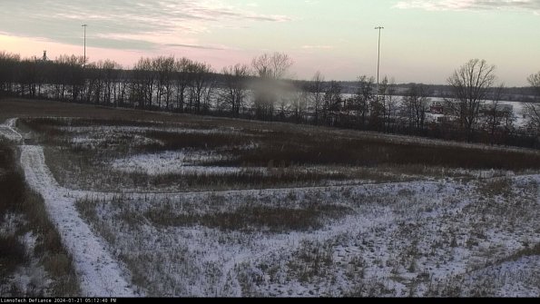 Cell 2_24-01-21_17-12-40-94