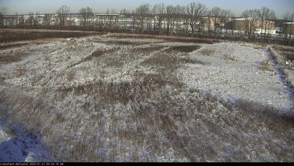 Cell 3_24-01-21_09-24-18-93