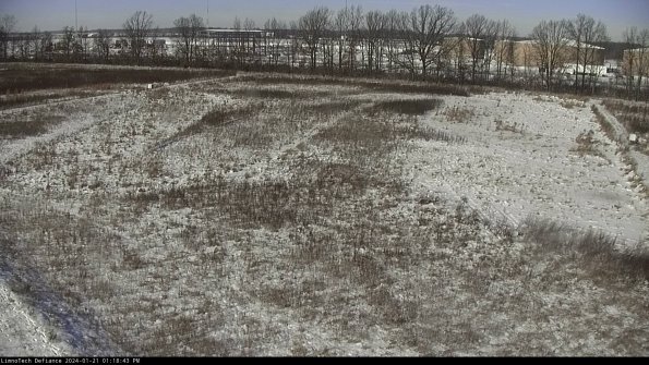 Cell 3_24-01-21_13-18-43-93