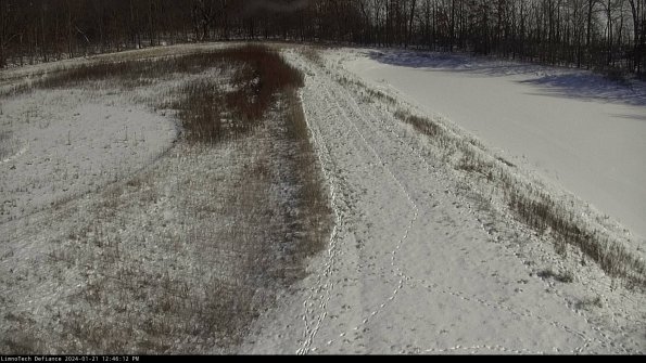 Cell 4 to Basin_24-01-21_12-46-12-94