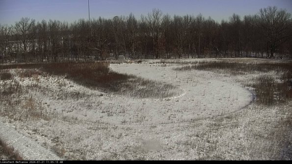 Cell 4_24-01-21_11-05-13-93