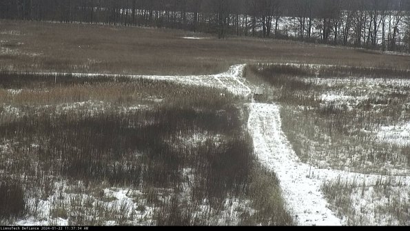 Cell 1 to 2_24-01-22_11-37-34-92