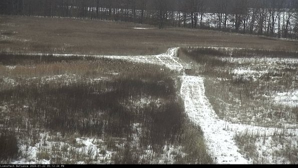 Cell 1 to 2_24-01-22_17-12-24-92