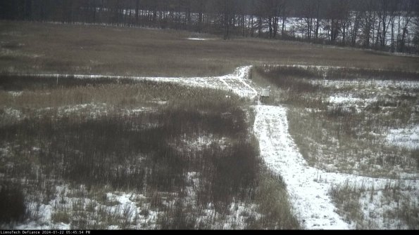 Cell 1 to 2_24-01-22_17-45-54-90