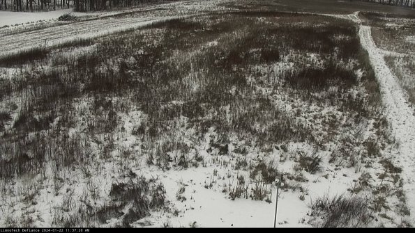 Cell 1_24-01-22_11-37-20-94