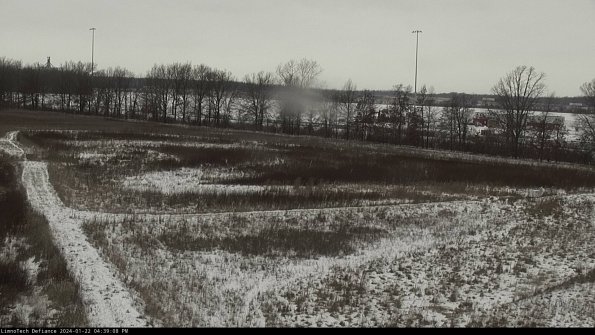 Cell 2_24-01-22_16-39-08-96