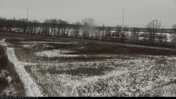 Cell 2_24-01-22_17-12-37-93