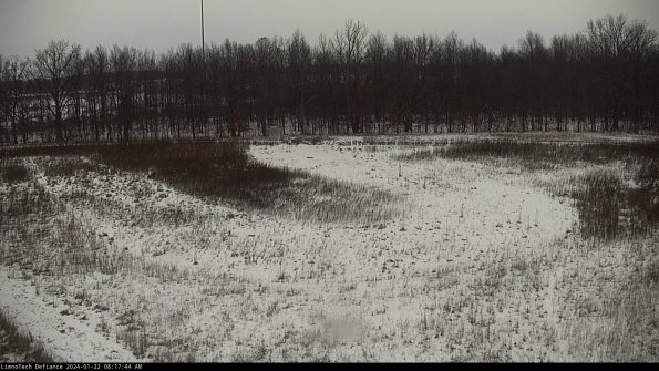 Cell 4_24-01-22_08-17-44-92