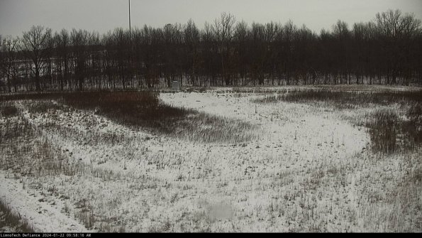 Cell 4_24-01-22_09-58-16-95