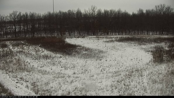 Cell 4_24-01-22_10-31-45-93