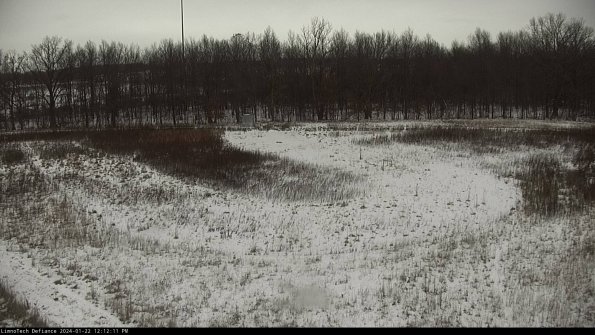 Cell 4_24-01-22_12-12-11-90