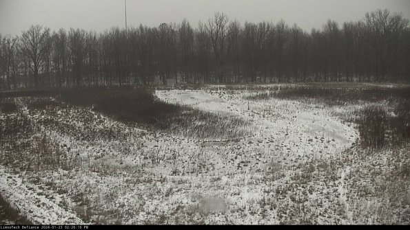 Cell 4_24-01-23_14-26-10-94