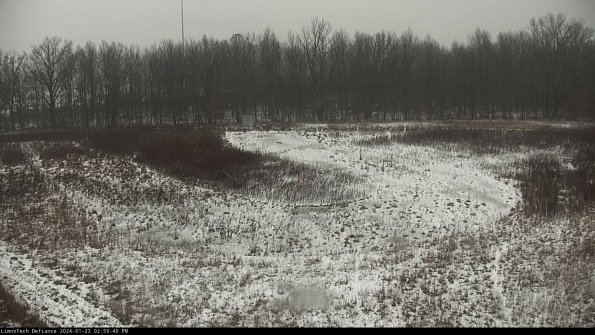 Cell 4_24-01-23_14-59-40-95