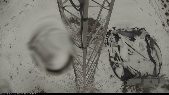 Hatch_24-01-23_16-41-47-92