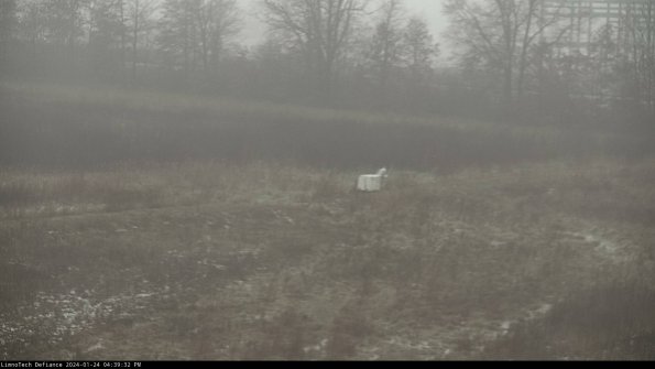 Cell 2 to 3_24-01-24_16-39-33-02