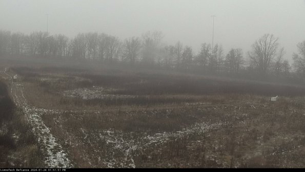 Cell 2_24-01-24_13-51-51-93