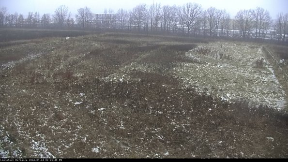 Cell 3_24-01-24_14-25-49-91