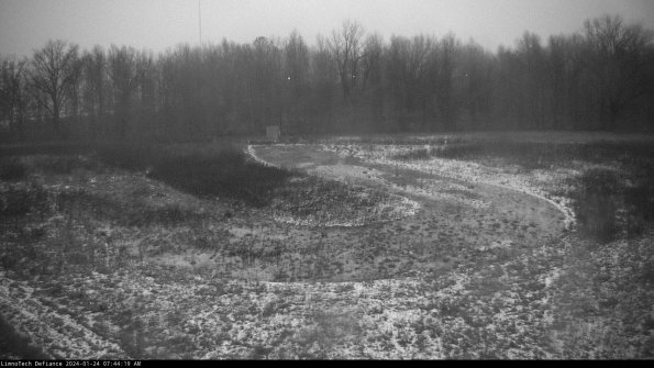 Cell 4_24-01-24_07-44-19-93