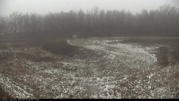 Cell 4_24-01-24_09-58-17-92