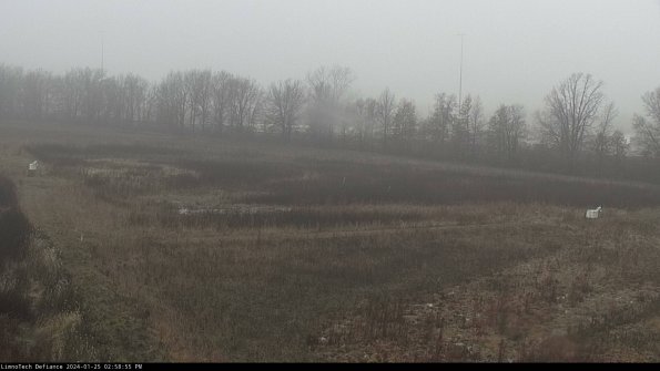 Cell 2_24-01-25_14-58-56-02