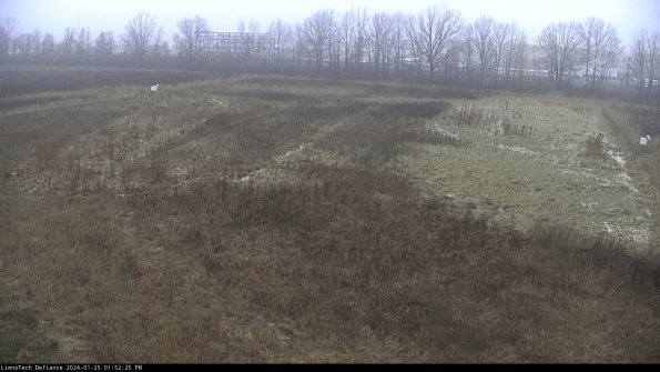 Cell 3_24-01-25_13-52-25-92