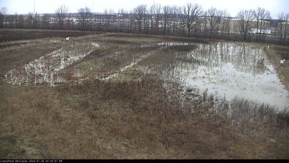 Cell 3_24-01-26_14-59-51-97