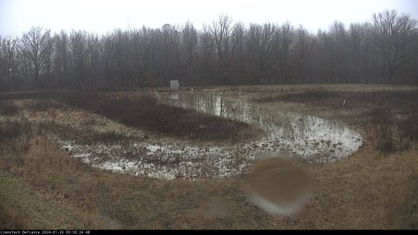 Cell 4_24-01-26_09-58-24-94