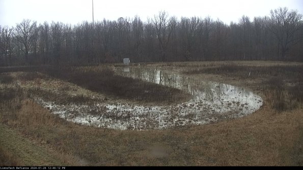 Cell 4_24-01-26_12-46-12-93