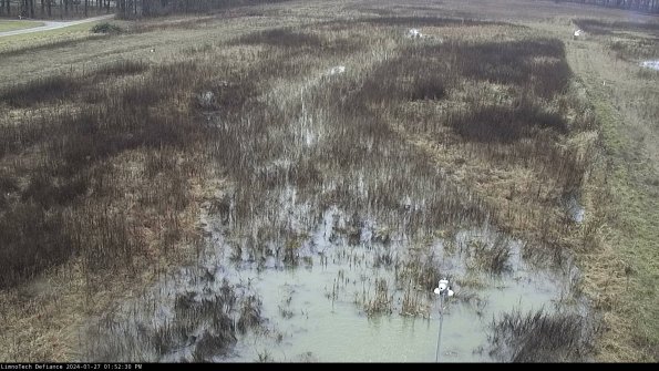 Cell 1_24-01-27_13-52-30-93