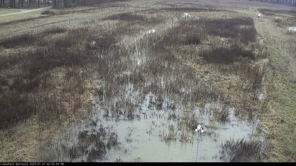 Cell 1_24-01-27_14-25-59-95