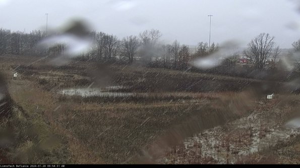 Cell 2_24-01-28_09-58-31-96