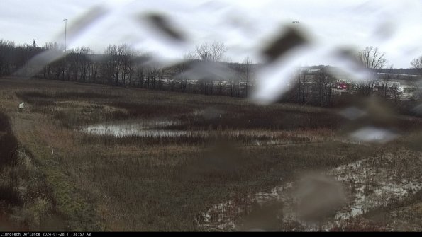 Cell 2_24-01-28_11-38-58-03