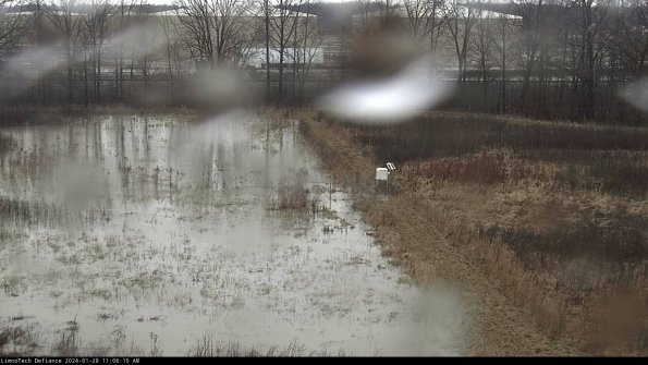 Cell 3 to 4_24-01-28_11-06-10-93