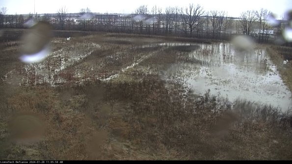 Cell 3_24-01-28_11-05-57-15