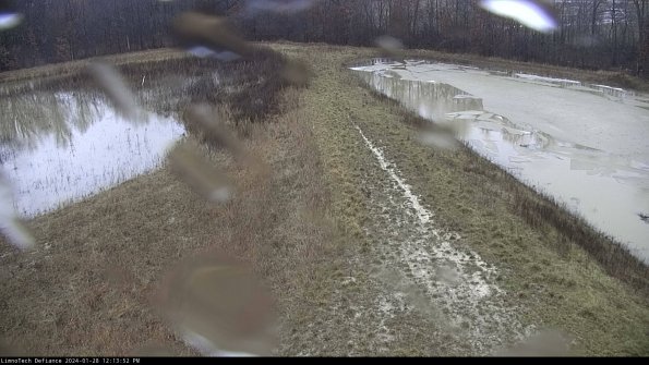 Cell 4 to Basin_24-01-28_12-13-52-93