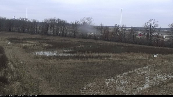 Cell 2_24-01-29_12-46-10-97