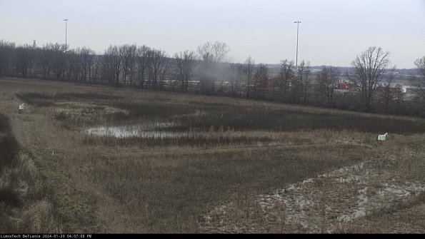 Cell 2_24-01-29_16-07-08-96