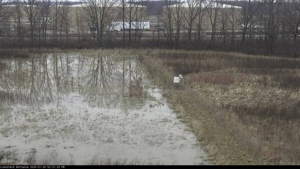 Cell 3 to 4_24-01-29_14-27-20-92