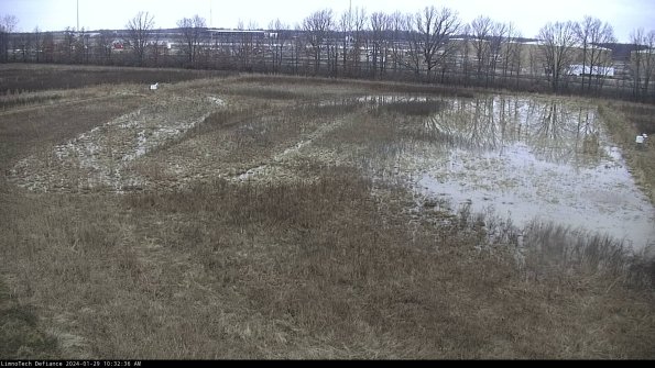 Cell 3_24-01-29_10-32-36-94