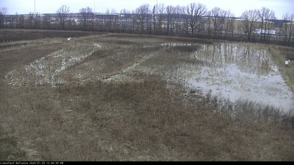 Cell 3_24-01-29_12-46-38-97