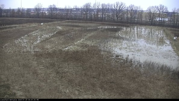 Cell 3_24-01-29_16-07-36-15