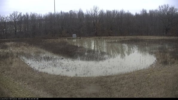 Cell 4_24-01-29_10-33-04-94