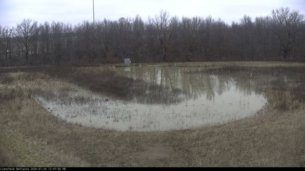 Cell 4_24-01-29_12-47-06-96