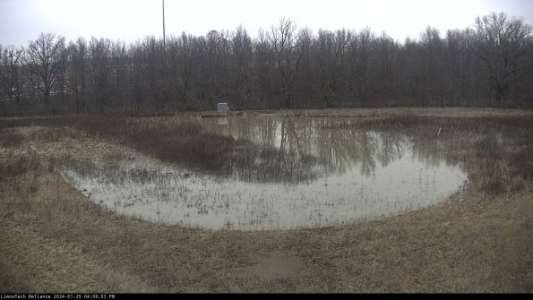 Cell 4_24-01-29_16-08-03-95