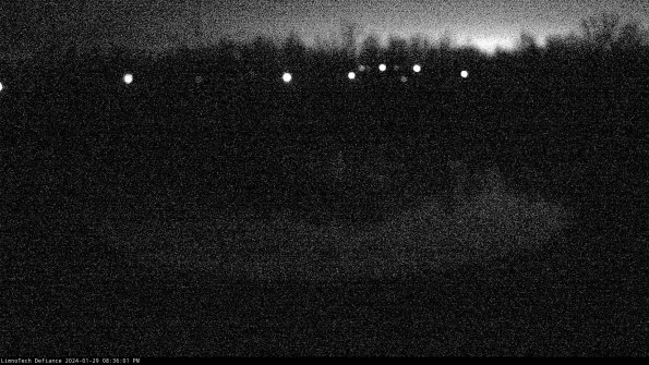 Cell 4_24-01-29_20-36-01-95